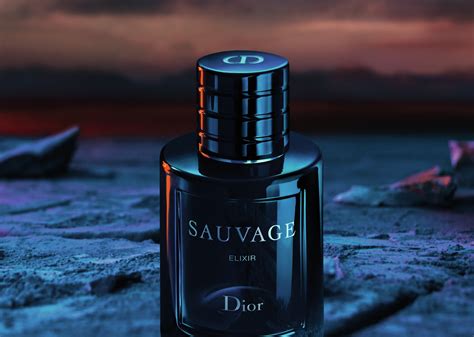 dior elixir cologne|sauvage elixir dior best price.